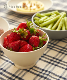 URBAN RESEARCH DOORS（アーバンリサーチドアーズ）の「DOORS LIVING PRODUCTS　tsugi ライスボウル（食器）」
