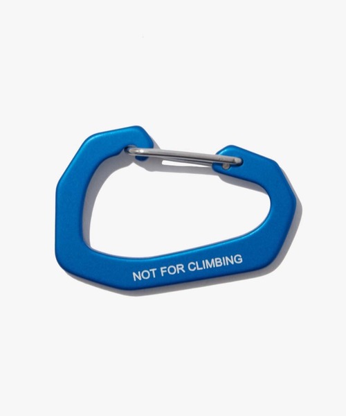 セール】【韓国限定・日本未入荷】THE NORTH FACE TNF Logo Carabiner