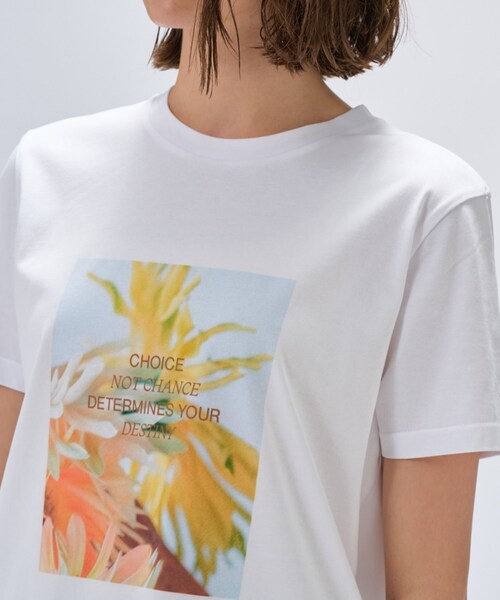 cloenc（クロエンス）の「【手洗い可】ロゴプリントTシャツ（Tシャツ/カットソー・レディース・ベージュ系その他6/ベージュ系その他7/ベージュ系その他4/ホワイト系4/ホワイト系6/ベージュ系9/ベージュ系その他3/ホワイト系3/ベージュ系その他5/ホワイト系5/ホワイト系1/ホワイト系2・02）」の17枚目の写真