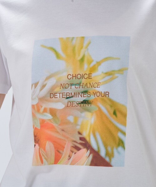 cloenc（クロエンス）の「【手洗い可】ロゴプリントTシャツ（Tシャツ/カットソー・レディース・ベージュ系その他6/ベージュ系その他7/ベージュ系その他4/ホワイト系4/ホワイト系6/ベージュ系9/ベージュ系その他3/ホワイト系3/ベージュ系その他5/ホワイト系5/ホワイト系1/ホワイト系2・02）」の18枚目の写真