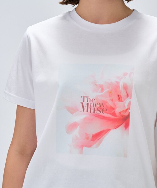 cloenc（クロエンス）の「フォト＆ロゴ プリントTシャツ（Tシャツ/カットソー・レディース・ベージュ系その他6/ベージュ系その他7/ベージュ系その他4/ホワイト系4/ホワイト系6/ベージュ系9/ベージュ系その他3/ホワイト系3/ベージュ系その他5/ホワイト系5/ホワイト系1/ホワイト系2・02）」の15枚目の写真