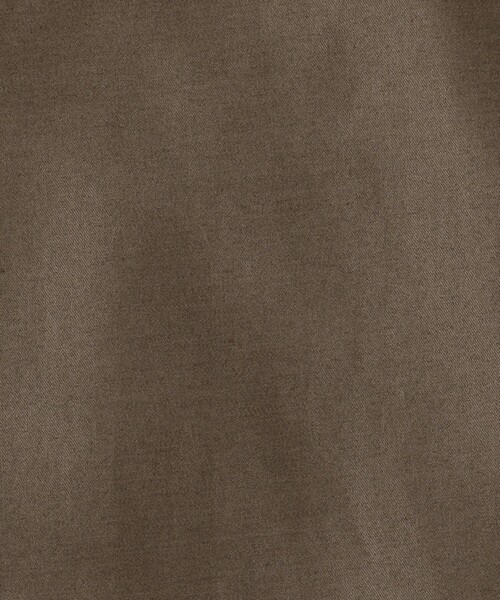 BACCA（バッカ）の「コットンバックサテン ノースリーブブラウス（シャツ/ブラウス・レディース・ライトブルー/ダークグリーン・36）」の5枚目の写真