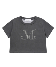 アリンピグメントホットフィックスクロップ半袖Tシャツ