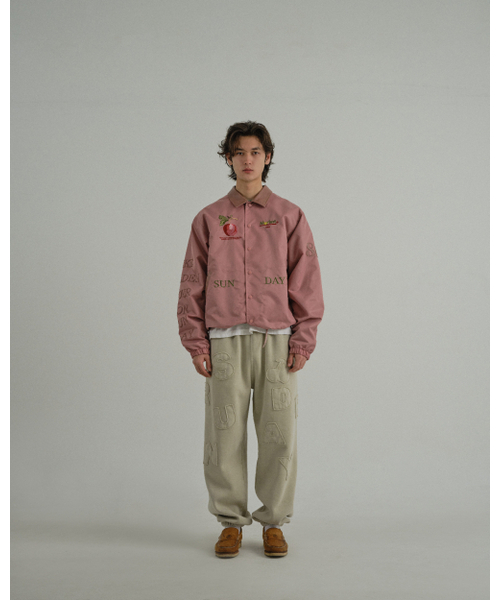 SUNDAY FRUIT MARKET(サンデーフルーツマーケット)の「APPLE COACH JACKET PINK(ナイロンジャケット・メンズ・その他・MEDIUM/LARGE)」の7枚目の写真