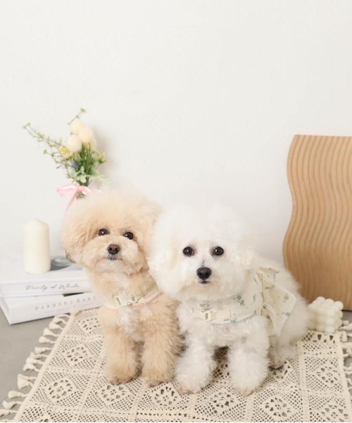 moncheri（モンシェリ）の「花柄フリルトップス風ハーネス+リードSET【保冷剤対応】（リード/ハーネス/首輪・レディース・ブルー/ピンク・L/M/S/XL）」の9枚目の写真