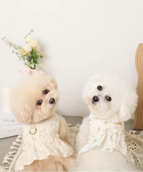 moncheri（モンシェリ）の「花柄フリルトップス風ハーネス+リードSET【保冷剤対応】（リード/ハーネス/首輪・レディース・ブルー/ピンク・L/M/S/XL）」の11枚目の写真