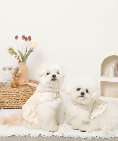 moncheri（モンシェリ）の「花柄フリルトップス風ハーネス+リードSET【保冷剤対応】（リード/ハーネス/首輪・レディース・ブルー/ピンク・L/M/S/XL）」の16枚目の写真