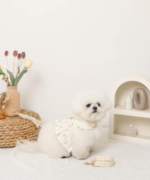 moncheri（モンシェリ）の「花柄フリルトップス風ハーネス+リードSET【保冷剤対応】（リード/ハーネス/首輪・レディース・ブルー/ピンク・L/M/S/XL）」の14枚目の写真