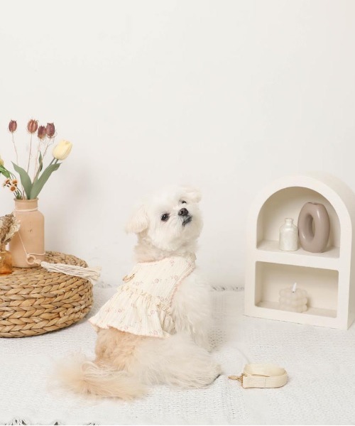 moncheri（モンシェリ）の「花柄フリルトップス風ハーネス+リードSET【保冷剤対応】（リード/ハーネス/首輪・レディース・ブルー/ピンク・L/M/S/XL）」の15枚目の写真