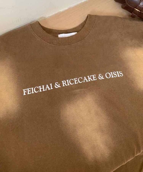 Dalfwin(ダールフィン)の「韓国ファッション FEICHAI英字ロゴウォッシュ加工半袖Tシャツ(Tシャツ/カットソー・レディース・ブラック/ブラウン・FREE)」の14枚目の写真