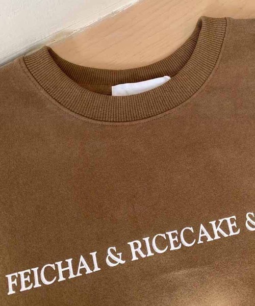 Dalfwin(ダールフィン)の「韓国ファッション FEICHAI英字ロゴウォッシュ加工半袖Tシャツ(Tシャツ/カットソー・レディース・ブラック/ブラウン・FREE)」の13枚目の写真