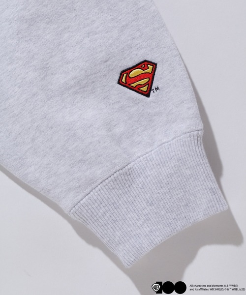 XLARGE Looney Tunes スウェット Lサイズ 灰色 XLARGE Looney Tunes スウェット Lサイズ 灰色