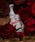 bpr BEAMSir[s[A[ r[X j́uBORNTOSTANDOUT / EAU DE PARFUM 2ijvb̑7