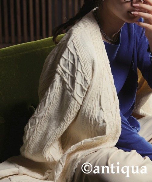 antiqua（アンティカ）の「ケーブルジャガードカーディガン（カーディガン/ボレロ・レディース・スモークグレー/ナチュラル・FREE）」の16枚目の写真