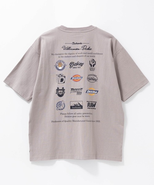 Dickies グラフィックプリント＆刺繍 ショートスリーブTシャツ