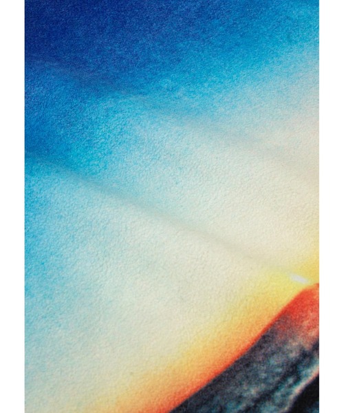 APPLEBUM（アップルバム）の「“Summer Madness” Half Zip Fleece（ブルゾン・メンズ・その他・X-LARGE/LARGE/MEDIUM）」の11枚目の写真