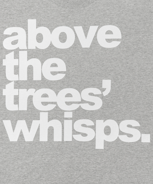 THECOLDESTMOMENT(ザコールデストモーメント)の「TCM above long sleeve (melange grey)(Tシャツ/カットソー・レディース・その他・MEDIUM/LARGE)」の9枚目の写真