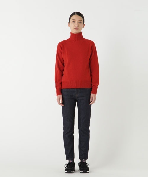 SUNSPEL（サンスペル）の「WOMEN’S LAMBSWOOL（ニット/セーター・レディース・イエロー/ブラック系その他/チェリーレッド・2）」の12枚目の写真