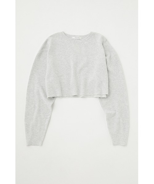 MOUSSY（マウジー）の「CUT OFF CROP トップス（Tシャツ/カットソー・レディース・ベージュ/杢グレー/ピンク・FREE）」の15枚目の写真