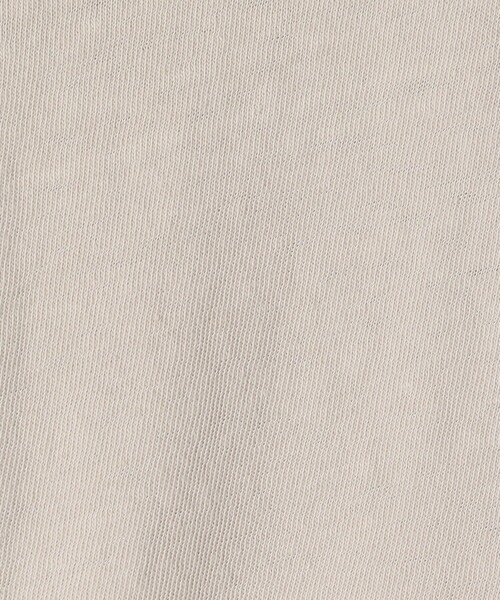 JAMES PERSE(ジェームスパース)の「スラブジャージー Tシャツ MJD3639(Tシャツ/カットソー・メンズ・ライトグレー・1)」の9枚目の写真