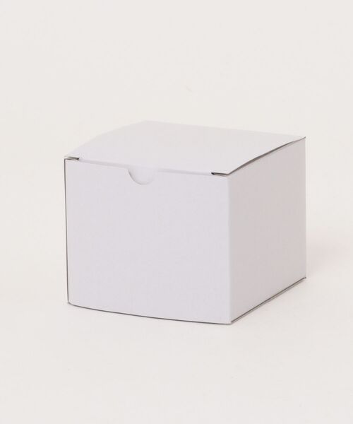 SKAGEN（スカーゲン）の「スカーゲン 腕時計 メンズ アナログ ステンレス SKW6946（アナログ腕時計・メンズ・シルバー・FREE）」の9枚目の写真