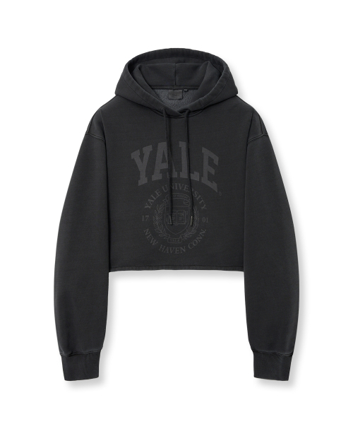 YALE(イェール)の「ウィメンズアーチロゴピグメントクロップフード_チャコール(パーカー・レディース・その他・SMALL/MEDIUM)」の2枚目の写真