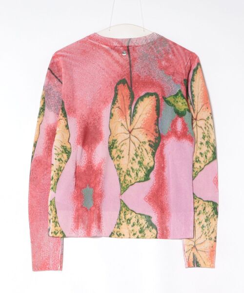 Desigual(デシグアル)の「ボタニカルリーフプリントニットセーター(ニット/セーター・レディース・レッド・XS/S/M/XL/L)」の4枚目の写真