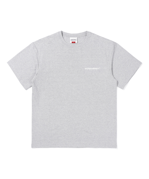 EXTRAORDINARY(エクストラオーディナリー)の「ヘビコットン ベーシック スモールロゴTシャツ M/グレー(Tシャツ/カットソー・メンズ・その他・LARGE/X-LARGE/XX-LARGE)」の1枚目の写真