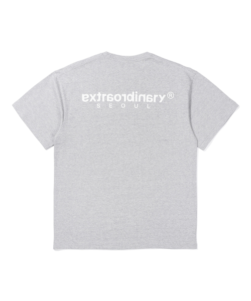 EXTRAORDINARY(エクストラオーディナリー)の「ヘビコットン ベーシック スモールロゴTシャツ M/グレー(Tシャツ/カットソー・メンズ・その他・LARGE/X-LARGE/XX-LARGE)」の2枚目の写真