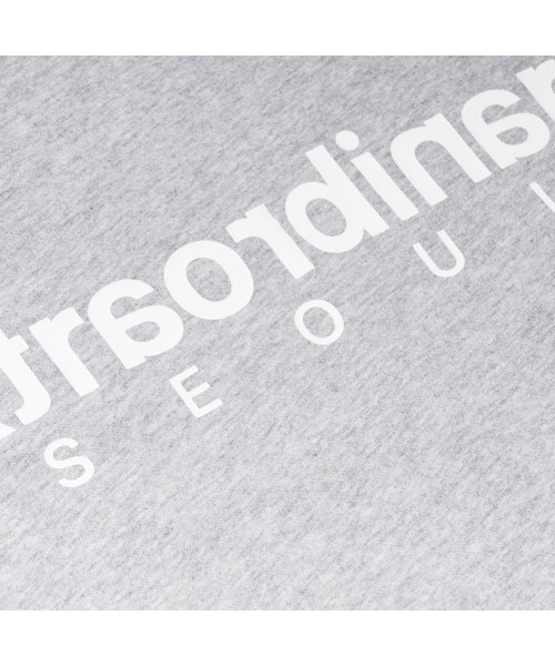 EXTRAORDINARY(エクストラオーディナリー)の「ヘビコットン ベーシック スモールロゴTシャツ M/グレー(Tシャツ/カットソー・メンズ・その他・LARGE/X-LARGE/XX-LARGE)」の4枚目の写真