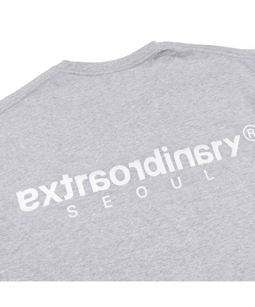 EXTRAORDINARY(エクストラオーディナリー)の「ヘビコットン ベーシック スモールロゴTシャツ M/グレー(Tシャツ/カットソー・メンズ・その他・LARGE/X-LARGE/XX-LARGE)」の5枚目の写真