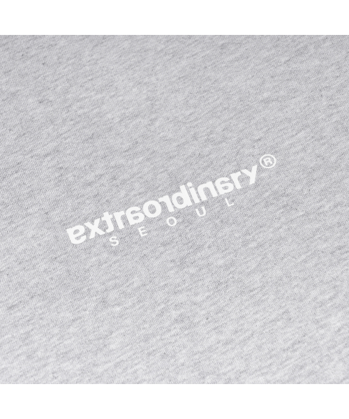 EXTRAORDINARY(エクストラオーディナリー)の「ヘビコットン ベーシック スモールロゴTシャツ M/グレー(Tシャツ/カットソー・メンズ・その他・LARGE/X-LARGE/XX-LARGE)」の6枚目の写真