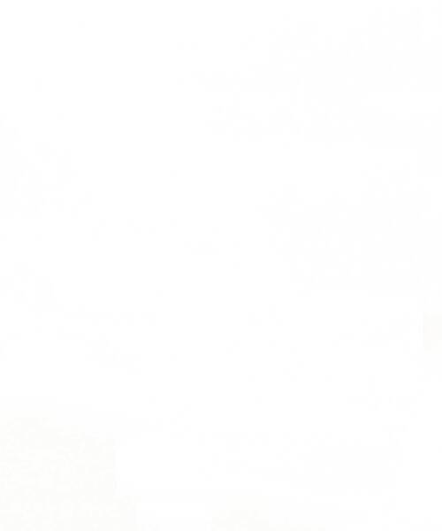 aran WOOLLEN MILLS（アランウーレンミルズ）の「アラン模様メリノウールカーディガン（カーディガン/ボレロ・レディース・ブラウン/ブルー/グリーン/ダークグレー/ナチュラル・SMALL/MEDIUM/X-SMALL）」の2枚目の写真