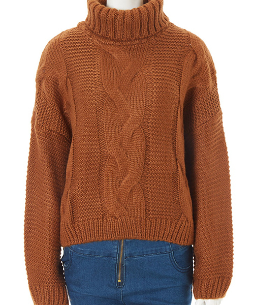 fifth（フィフス）の「ボトルネックケーブルニット（ニット/セーター・レディース・アイボリー/レッド/ブラウン・MEDIUM）」の12枚目の写真