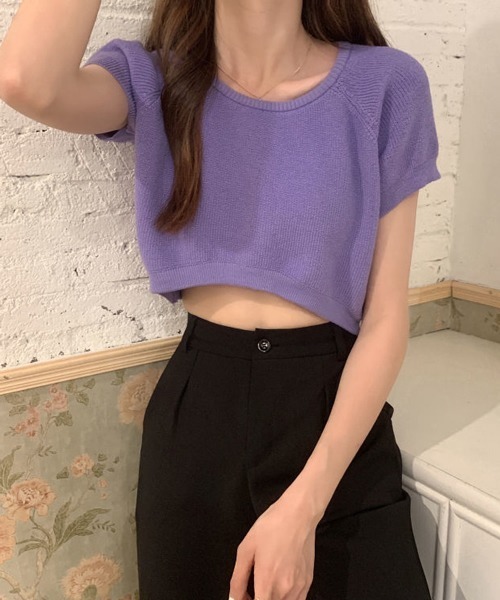 HALEY PESCA（ヘーリーペスカ）の「HALEY PESCA/クロップド丈 カラーTシャツ（Tシャツ/カットソー・レディース・ホワイト/ブラック/ベージュ/パープル/ブルー/イエロー/ピンク/レッド・FREE）」の5枚目の写真