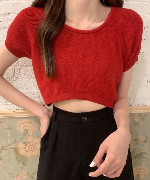 HALEY PESCA（ヘーリーペスカ）の「HALEY PESCA/クロップド丈 カラーTシャツ（Tシャツ/カットソー・レディース・ホワイト/ブラック/ベージュ/パープル/ブルー/イエロー/ピンク/レッド・FREE）」の8枚目の写真