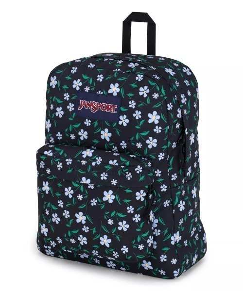 JANSPORT（ジャンスポーツ）の「JANSPORT SUPERBREAK PLUS（ジャンスポーツ スーパーブレイクプラス）（バックパック/リュック・メンズ・ブラック/レッド系/ネイビー/ブラック系/グリーン系/ブルー系/ピンク系/ブルー系2/ブラック系2・FREE）」の3枚目の写真