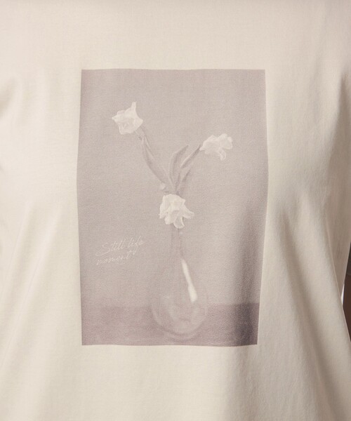 green label relaxing(グリーンレーベルリラクシング)の「ロゴ ショートスリーブ プルオーバー カットソー 接触冷感(Tシャツ/カットソー・レディース・モカ/ライトブルー/その他2/その他1・FREE)」の17枚目の写真