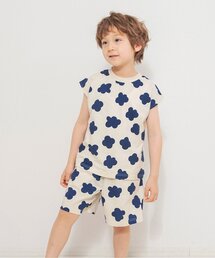 BREEZE(�u���[�Y)�́yWEB����z��鑍���Z�b�g�A�b�v(�Z�b�g�A�b�v)