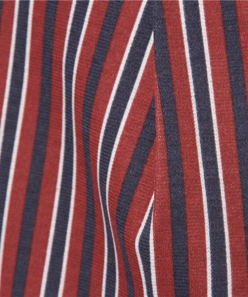 Heather（ヘザー）の「ストライプミディタイトスカート  554538（スカート・レディース・グレー系その他/グリーン系その他/レッド系その他・FREE）」の7枚目の写真