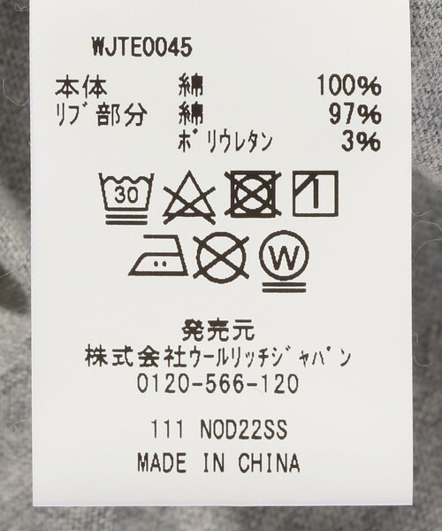 WOOLRICH(ウールリッチ)の「WOOL RICH/ウールリッチ WOOLEN GRAPHIC TEE(Tシャツ/カットソー・メンズ・グレー/ホワイト・X-LARGE/MEDIUM/LARGE)」の7枚目の写真