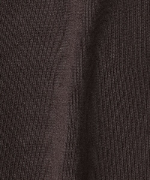 UNITED ARROWS（ユナイテッドアローズ）の「コットン フライス 5S Tシャツ（Tシャツ/カットソー・レディース・ホワイト/ブラック/ダークブラウン/その他1・FREE）」の21枚目の写真