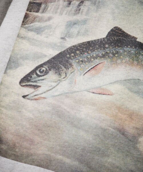 Foxfire（フォックスファイヤー）の「Foxfire/フォックスファイヤー 別注 Foxfire プリントクルーネック ロングスリーブTシャツ/カタログトラウト/バックプリント/リラックスフィット/10.5オンス（Tシャツ/カットソー・メンズ・ホワイト/チャコール/アッシュグレー・LARGE/MEDIUM）」の17枚目の写真