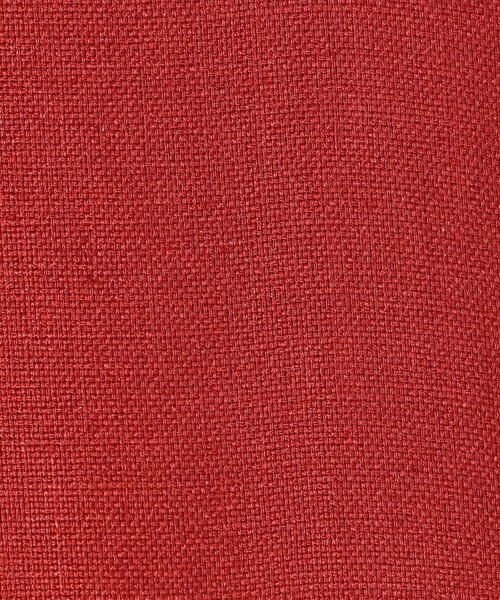 BALLSEY(ボールジィ)の「ライトクリアスラブ バックリボンワンピース(ワンピース・レディース・ブラック/ライトベージュ/レッド・34/36)」の7枚目の写真