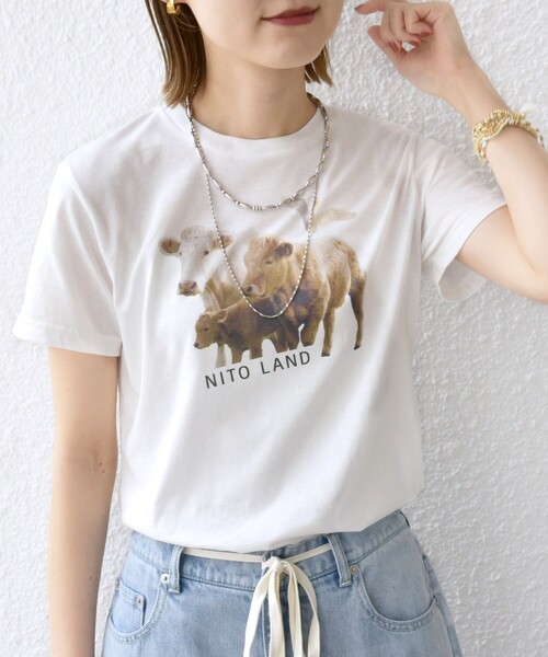 【シップス　ウィメン】【SHIPS別注】ACASAM: フォト TEE SHIPS別注】ACASAM: フォト TEE（Tシャツ/カットソー）｜SHIPS