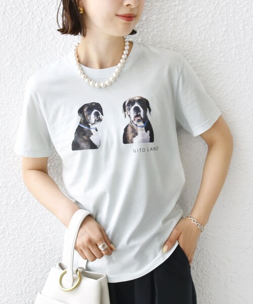 SHIPS(シップス)の「【SHIPS別注】ACASAM: フォト TEE(Tシャツ/カットソー・レディース・イエロー/ホワイト系/ライトブルー/ホワイト・ONE SIZE)」の4枚目の写真