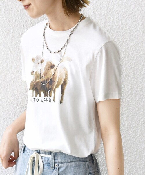 【シップス　ウィメン】【SHIPS別注】ACASAM: フォト TEE SHIPS別注】ACASAM: フォト TEE（Tシャツ/カットソー）｜SHIPS