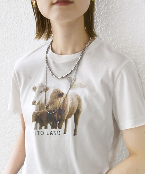【SHIPS別注】ACASAM: フォト TEE SHIPS別注】ACASAM: フォト TEE（Tシャツ/カットソー）｜SHIPS