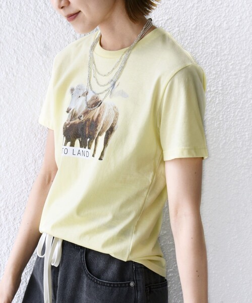 【シップス　ウィメン】【SHIPS別注】ACASAM: フォト TEE SHIPS別注】ACASAM: フォト TEE（Tシャツ/カットソー）｜SHIPS