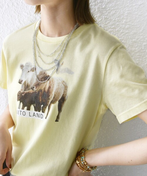 SHIPS(シップス)の「【SHIPS別注】ACASAM: フォト TEE(Tシャツ/カットソー・レディース・イエロー/ホワイト系/ライトブルー/ホワイト・ONE SIZE)」の22枚目の写真